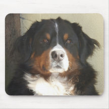 Bernese Mountain Dog Mouse Mat