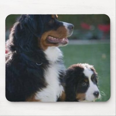 Bernese Mountain Dog Mousepad by ValentinaRose