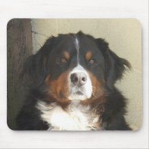 Bernese Mountain Dog Mousepads