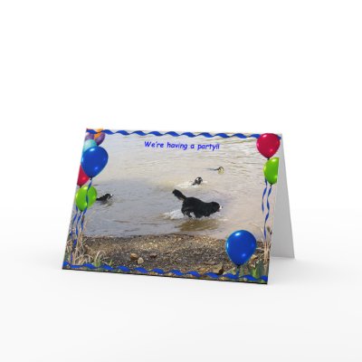 Bernese Mountain Dog Party Card by websherman
