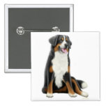 Bernese Mountain Dog Pin