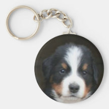 Bernese mountain dog pup keychain