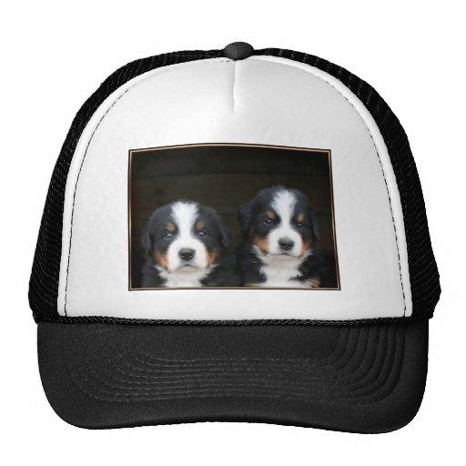 Bernese mountain dog puppies cap mesh hats