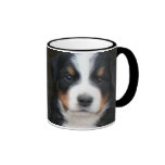 Bernese mountain dog puppies mug