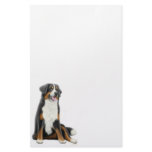 Bernese Mountain Dog Stationery