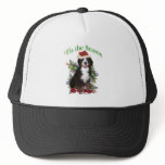 Bernese Mountain Dog ‘Tis Mesh Hats