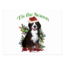 Bernese Mountain Dog ‘Tis Postcards