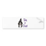 Bernese Mountain Dog Trick Bumper Stickers