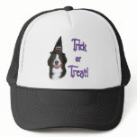 Bernese Mountain Dog Trick Trucker Hat
