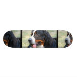 Bernese Mountain Puppy Skateboard