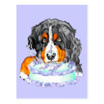 Bernese Mt Dog Cake Face Birthday Post Cards