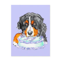 Bernese Mt Dog Cake Face Birthday