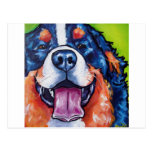 Bernese Mt Dog Postcard