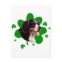 Bernese Mt. Dog St. Patrick's Day Postcards