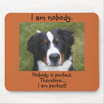 Bernese puppy face...nobody is perfect.
