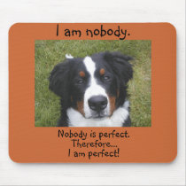 Bernese puppy face...nobody is perfect.