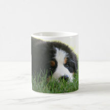 Bernese Puppy Mug