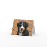 Bernese Puppy Note Cards