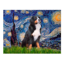 Bernese - Starry Night Post Card