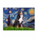 Bernese - Starry Night t-shirts