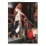 Bernese - The Accolade Greeting Cards