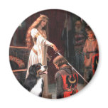 Bernese - The Accolade Fridge Magnets