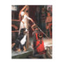 Bernese - The Accolade Postcard