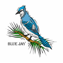 Bernie Blue Jay Photo Cutout