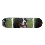 bernSweet Bernese Skateboard