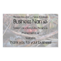 Berries and Twigs Sticker