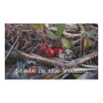Berries and Twigs; Yukon Territory Souvenir Rectangle Stickers