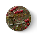 Berries Button