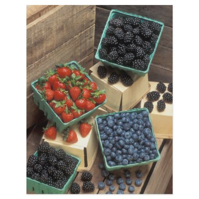 Berries Personalized Flyer by GPArkive