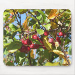 Berries in a Tree mousepads