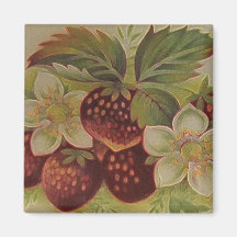 Berries Magnet