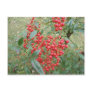 Berries on Nandina Postcards