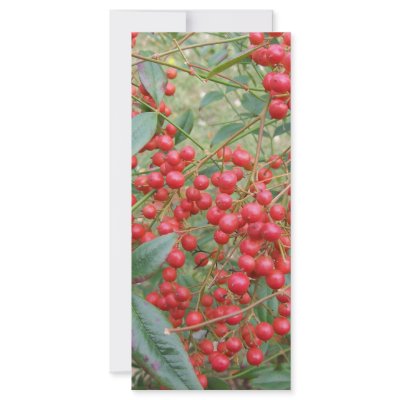 Berries on Nandina Personalized Rack Card by chemistrycourtney