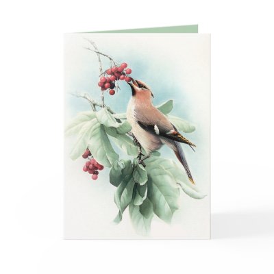 Berries To Eat Card by Memory_Lane