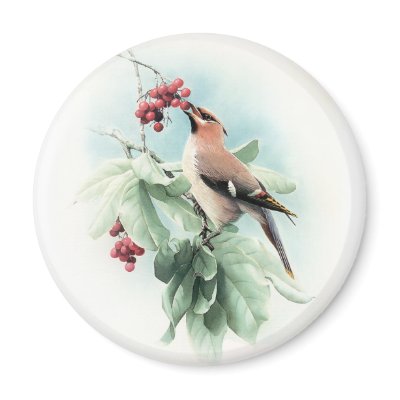 Berries To Eat Refrigerator Magnet by Memory_Lane
