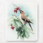 Berries To Eat mousepads