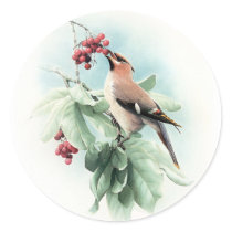 Berries To Eat Round Sticker