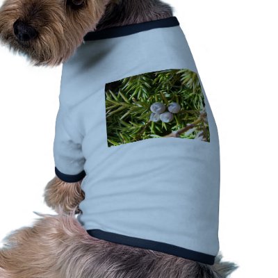 Berry Baubles Dog Clothes by litehrse