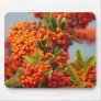 Berry Branch Mousepad 2