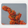 Berry Branch Mousepad 3