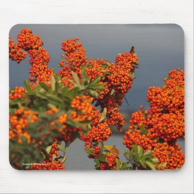 Berry Branch mousepad 3 by mikes_photo_designs