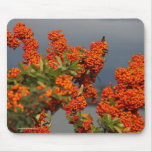 Berry Branch mousepad 3