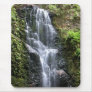 Berry Creek Falls Mouse Pads