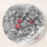 Berry Delicious Coaster