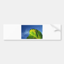 Berry leaf and Autumn colours. Bumper Stickers