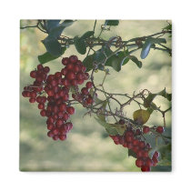 Berry Magnet